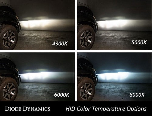 Diode Dynamics DD1045P LED LIGHTS