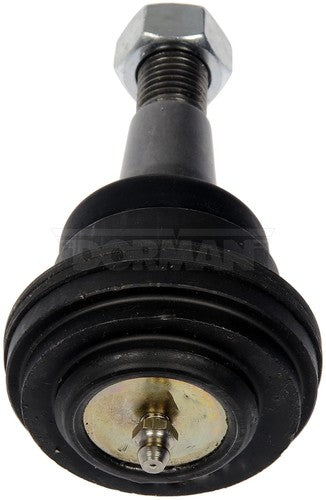 Dorman Chassis BJ81166PR Premium BALL JOINT