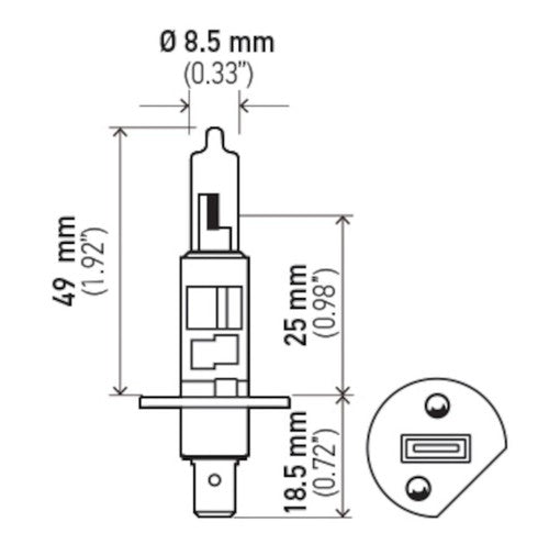 Hella 002089402 BULBS