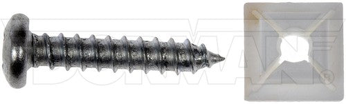 Dorman (OE Solutions) 785-104D OE Solutions LICENSE PLATE SCREWS & BOLTS