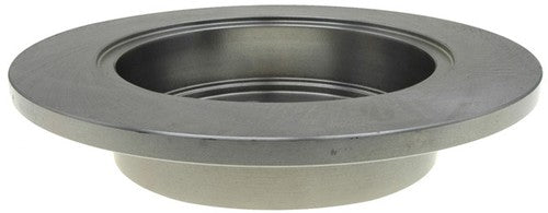Raybestos Brakes 980483R R-Line BRAKE ROTORS OEM