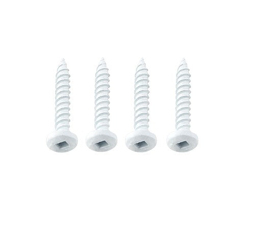 AP Products 012-PSQ500W 8 X 1 SCREWS