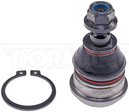 Dorman Chassis BJ60025XL Premium BALL JOINT