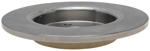 Raybestos Brakes 680931R R-Line BRAKE ROTORS OEM