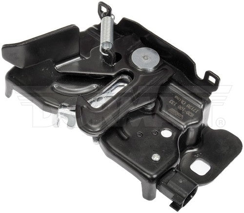 Dorman (OE Solutions) 820-100 OE Solutions DOOR HANDLE OEM