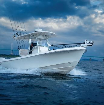Minn Kota 1363790 Riptide Terrova Trolling Motor; Bow-Mount 11-60-36: White