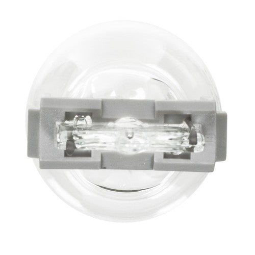 Wagner Lighting BP3156LL Long Life BULBS & FLASHERS