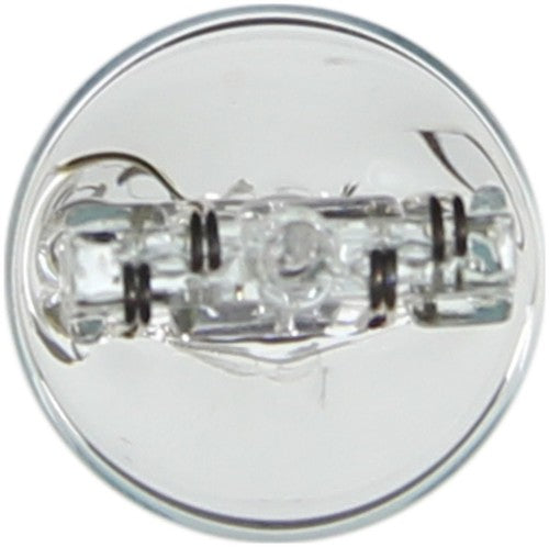 Wagner Lighting BP7443 Standard Series BULBS & FLASHERS
