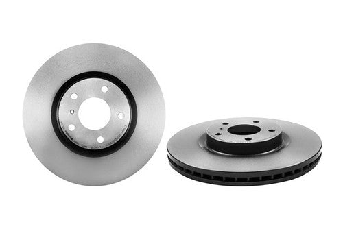 Brembo 09B53011C02  BRAKE ROTORS