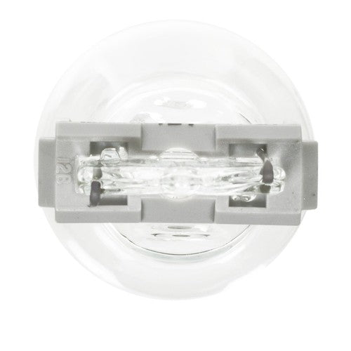 Wagner Lighting BP3156 Standard Series BULBS & FLASHERS