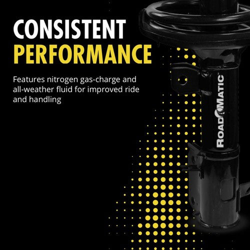 Monroe 181565L RoadMatic  SHOCK ABSORBERS