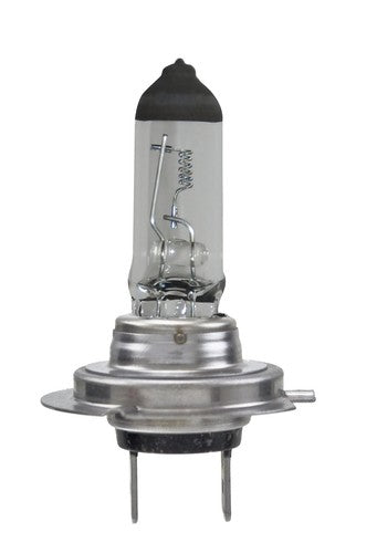 Hella H7 24V  BULBS