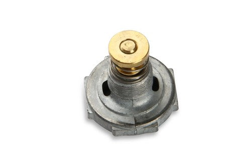 Renew Carburetor Rebuild Kit