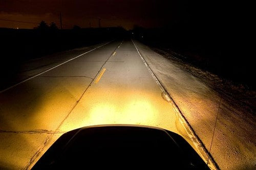Putco 239006NW  BULBS