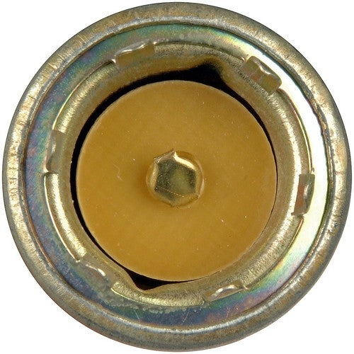 Dorman (OE Solutions) 85806 Conduct-Tite BODY SWITCH & RELAY