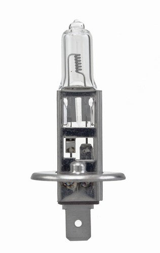 Hella H1 24V  BULBS