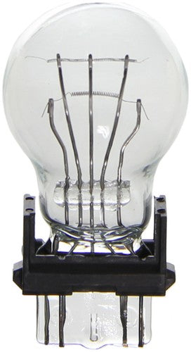 Wagner Lighting BP3157 Standard Series BULBS & FLASHERS