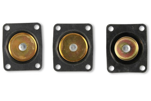 Fast Kit Carburetor Rebuild Kit