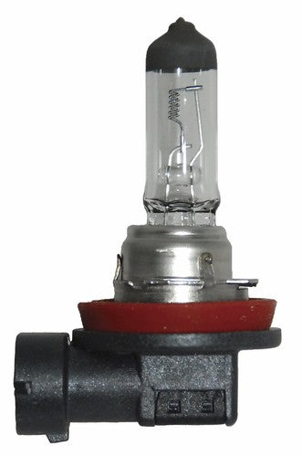 Hella H11 24V  BULBS