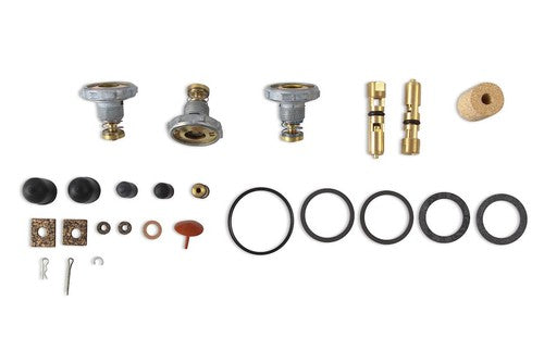 Renew Carburetor Rebuild Kit