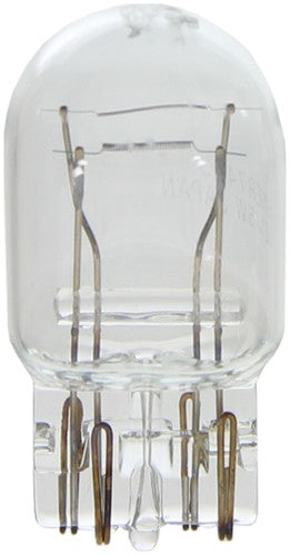 Wagner Lighting BP7443 Standard Series BULBS & FLASHERS
