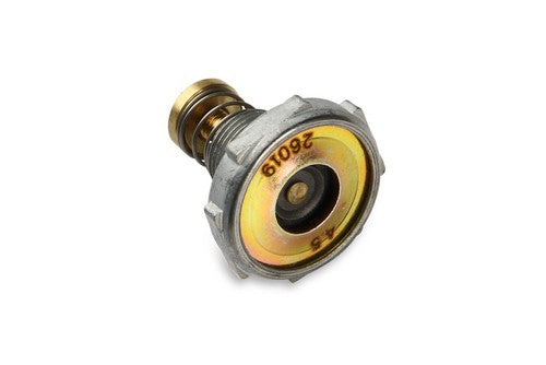 Renew Carburetor Rebuild Kit