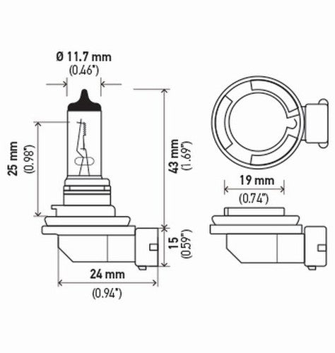 Hella H11 24V  BULBS