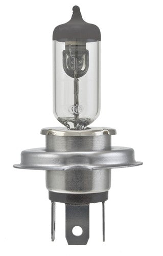 Hella 9003  BULBS