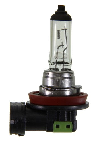 Wagner Lighting BP1255/H11 Standard Series BULBS & FLASHERS