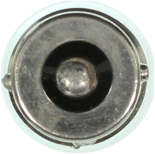Wagner Lighting BP67 Standard Series BULBS & FLASHERS