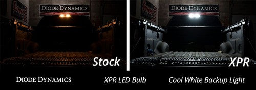 Diode Dynamics DD0394P  LED LIGHTS