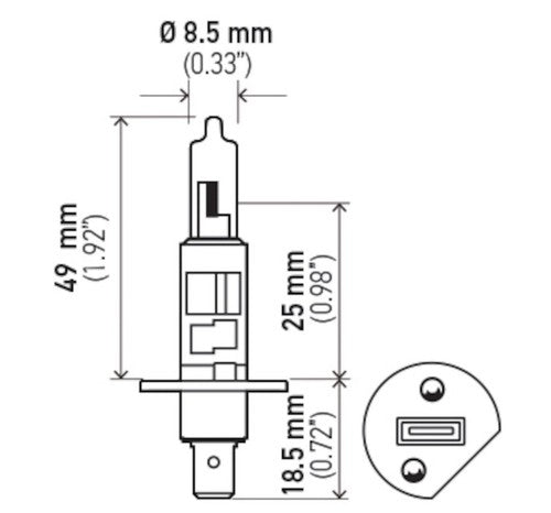 Hella 002089541  BULBS