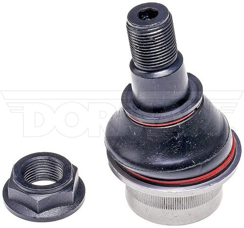 Dorman Chassis BJ81035XL Premium  BALL JOINT