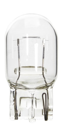 Wagner Lighting BP7440 Standard Series BULBS & FLASHERS
