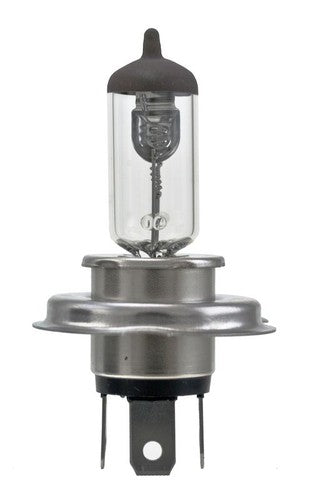 Hella H4 24V 100/90W  BULBS