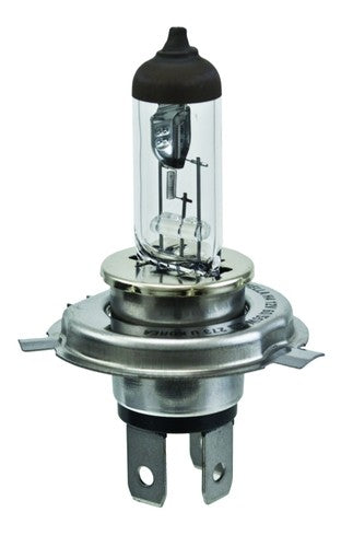Hella H4  BULBS