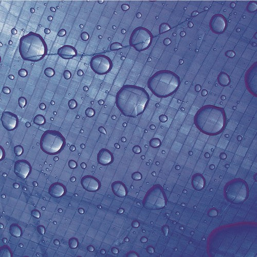 Performance Tool W6004 Tarp (8 x 10)
