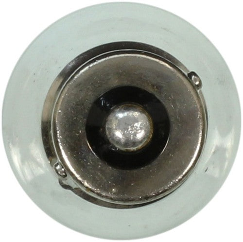 Wagner Lighting BP1156 Standard Series BULBS & FLASHERS
