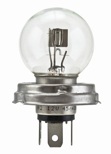 Hella 7951  BULBS