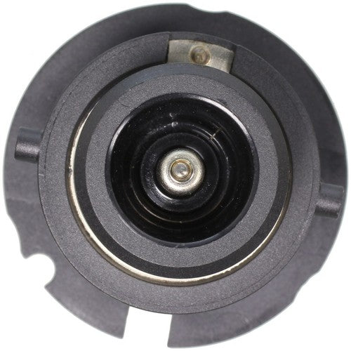 Wagner Lighting D2S Standard Series BULBS & FLASHERS