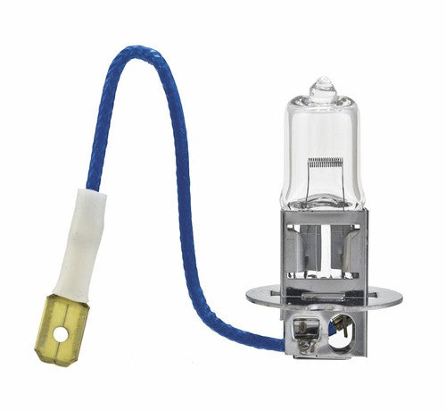 Hella H3 100W  BULBS