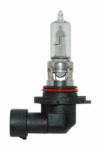 Hella 9005 100W  BULBS