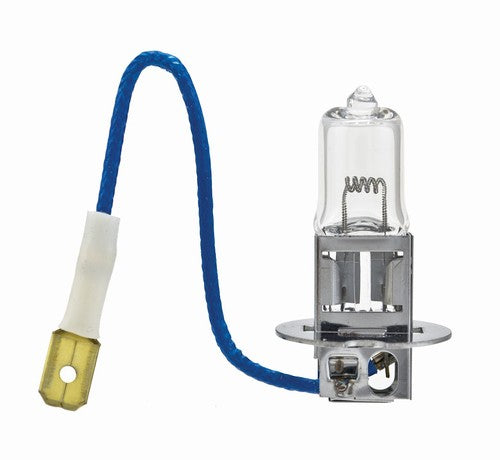 Hella H3 24V 100W  BULBS
