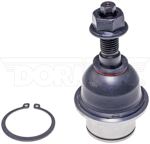 Dorman Chassis BJ86065XL Premium  BALL JOINT