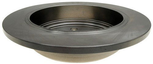 Raybestos Brakes 76451R R-Line BRAKE ROTORS OEM