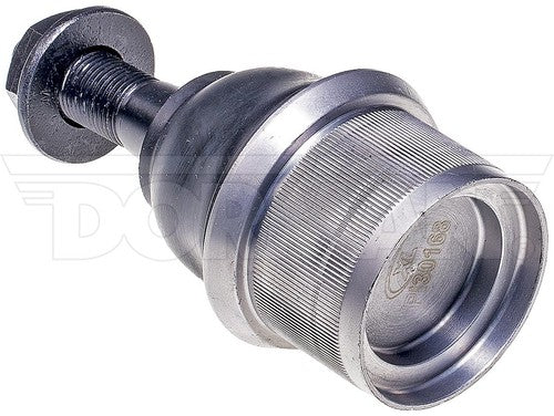Dorman Chassis BJ81315XL Premium  BALL JOINT