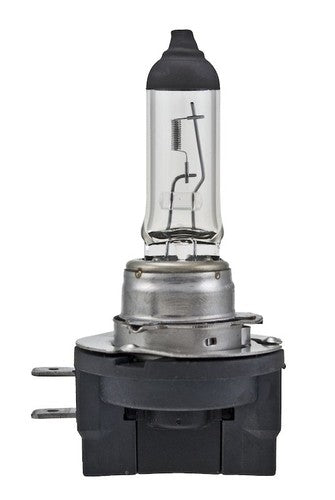 Hella H11B Standard Series BULBS