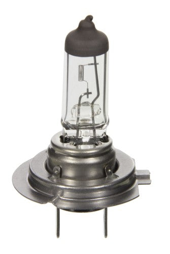 Wagner Lighting BP1255/H7 Standard Series BULBS & FLASHERS