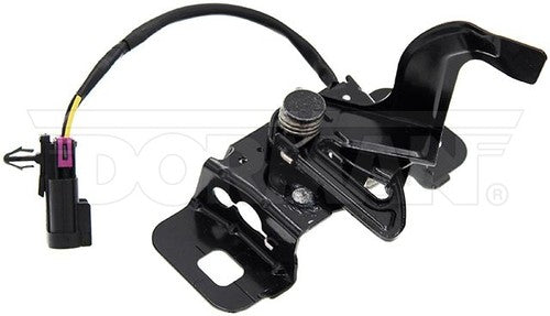 Dorman (OE Solutions) 820-481 OE Solutions HOOD OEM