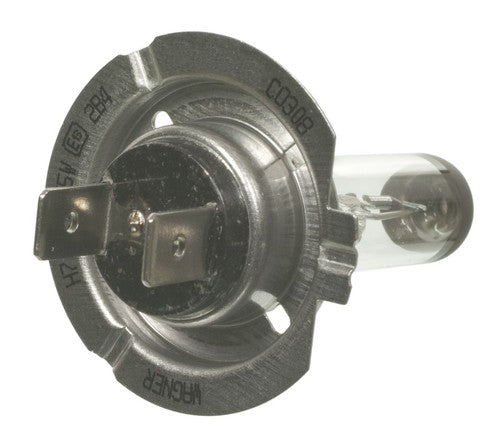 Wagner Lighting BP1255/H7 Standard Series BULBS & FLASHERS